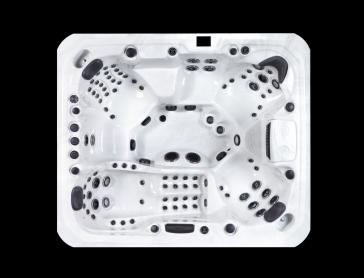 PLATINUM SPAS MAXIMUS